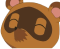 Racoon
